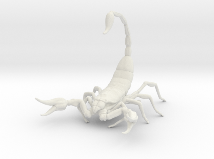 Scorpion 3d printed