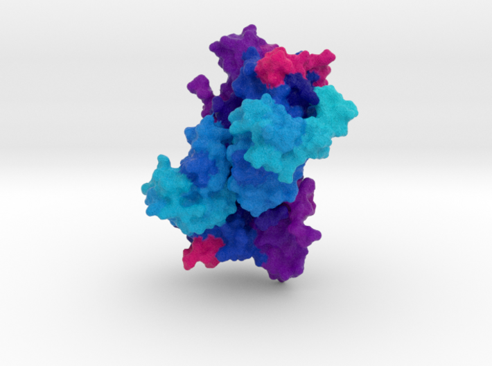 Mitogen-Activated Protein Kinase Kinase 1 (MEK1) 3d printed