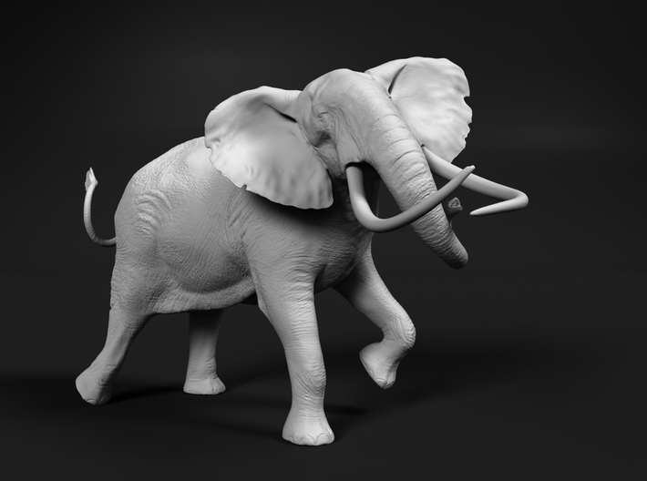 African Bush Elephant 1:22 Tusker Bull Shawu 3d printed 