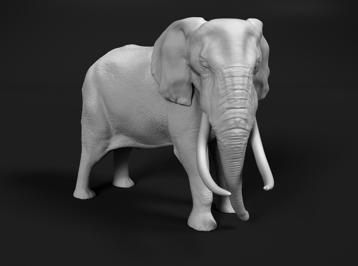 African Bush Elephant 1:25 Tusker Bull Dzombo 3d printed 