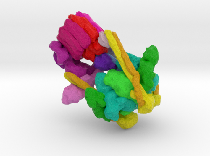 Vacuolar ATPase 3d printed