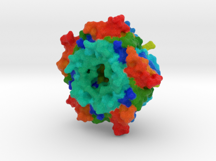 Carboxysome Subunit CcmL 3d printed