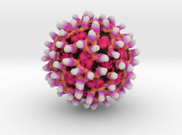 West Nile Virus with Monoclonal Antibodies 3d printed