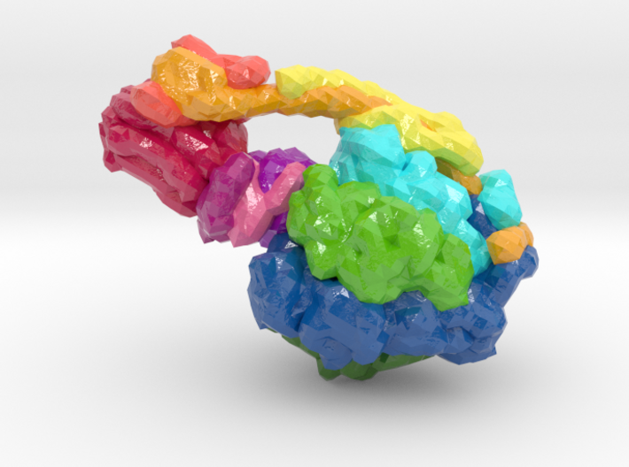 ATP Synthase (Large) 3d printed