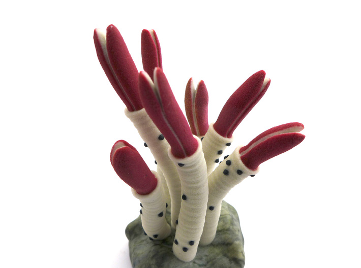 Riftia Tube Worm Sculpture 3d printed 