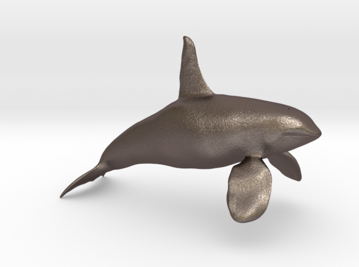 Orca-male-solid 3d printed