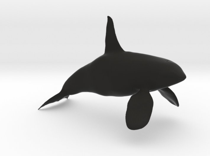 Orca-Male-Hollow 3d printed
