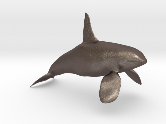 Orca-Male-Hollow 3d printed