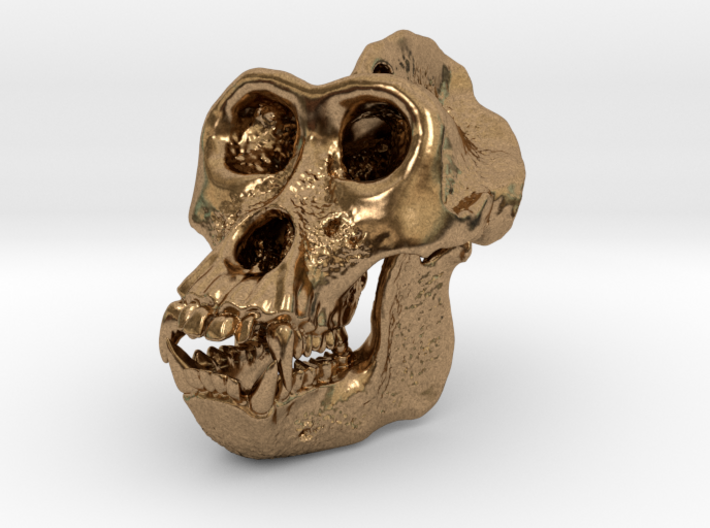 Gorilla Skull 3d printed