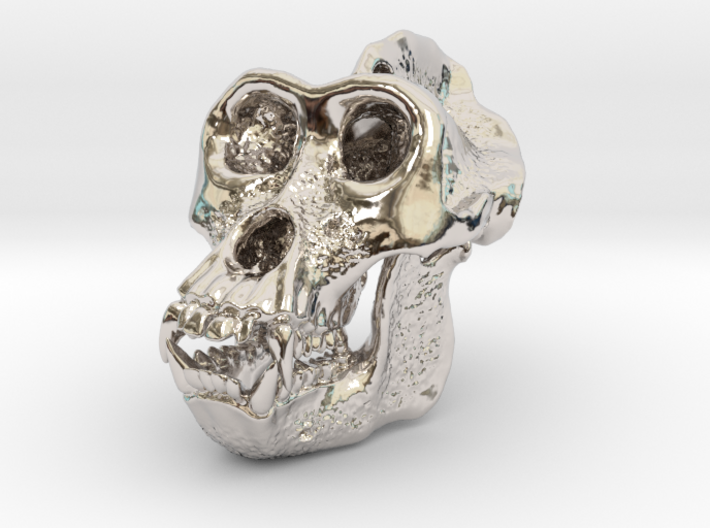 Gorilla Skull 3d printed