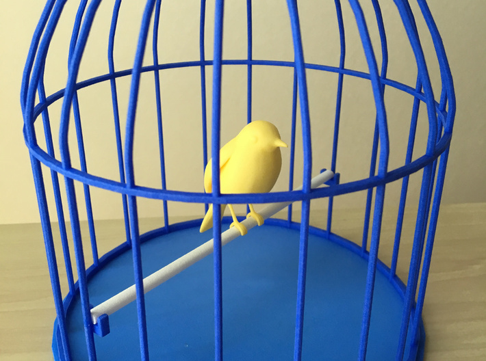 Bottom of a cage of the toy birds 3d printed An example of setting the bird cage and a bird