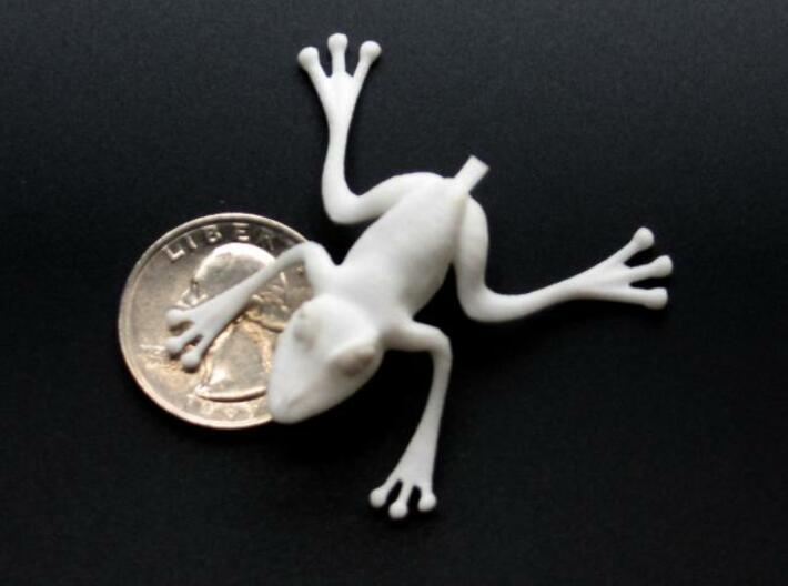 Jumping Tree Frog 3d printed Printed in White Strong and Flexible.