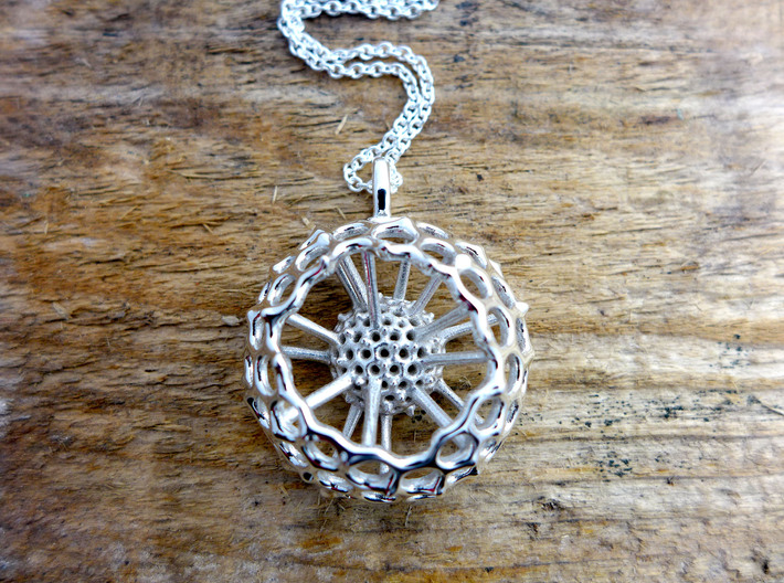 Spumellaria spineless Radiolarian - Paleontology 3d printed Spumellaria spineless in polished silver