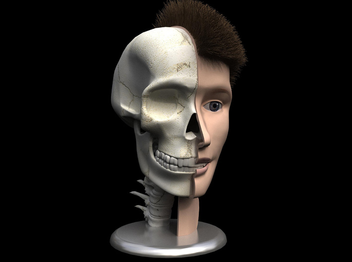 Human Skull Head - 4&quot; tall 3d printed