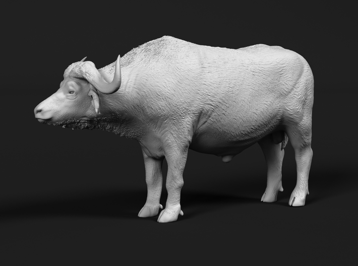 Cape Buffalo 1:76 Standing Male 3 3d printed 
