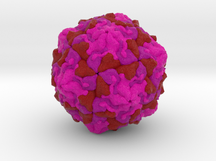 Picornavirus 3d printed