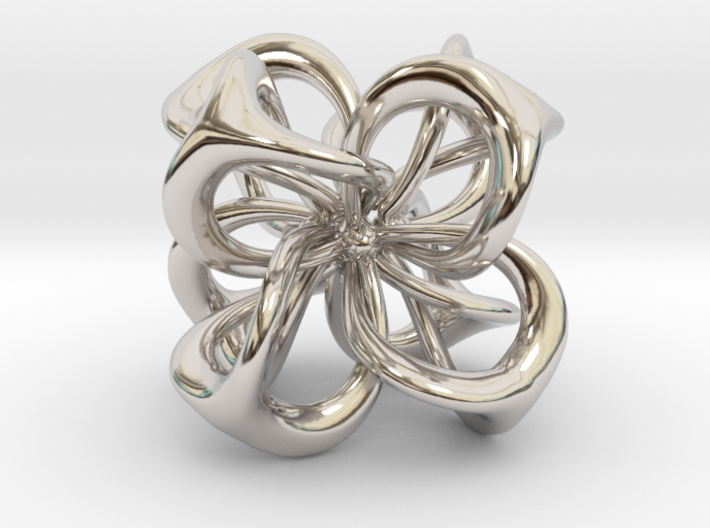 Flower in 4 Dimensions 3d printed