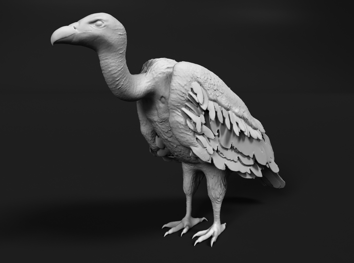 White-Backed Vulture 1:87 Standing 3 3d printed