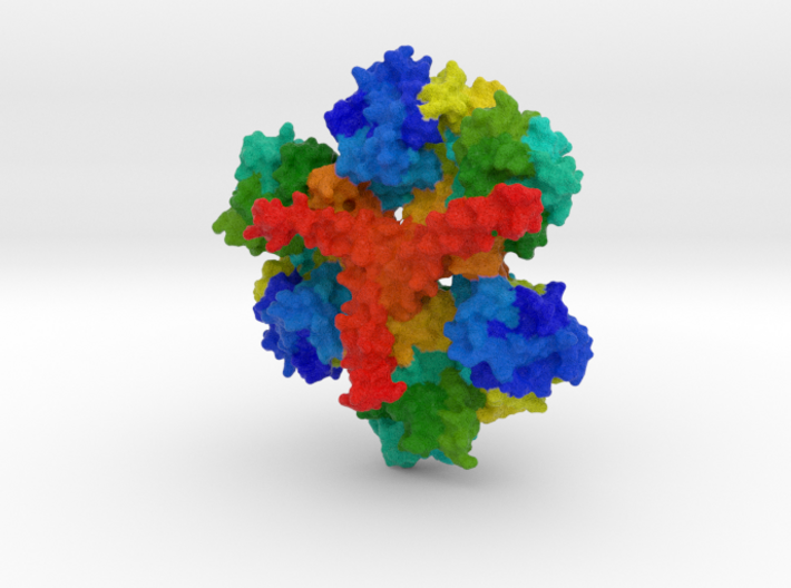 Huntingtin Protein 3d printed