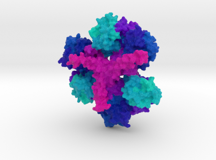 Huntingtin Protein 3d printed