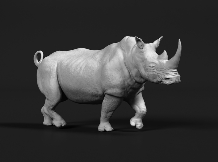 White Rhinoceros 1:6 Running Male 3d printed 