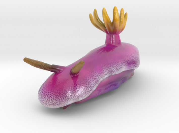 Hypselodoris apolegma 3d printed Digital rendition