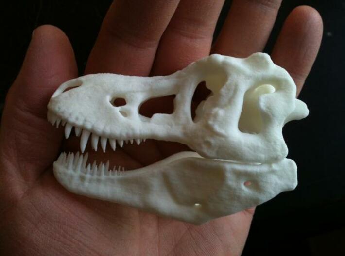 T-Rex Skull 3d printed
