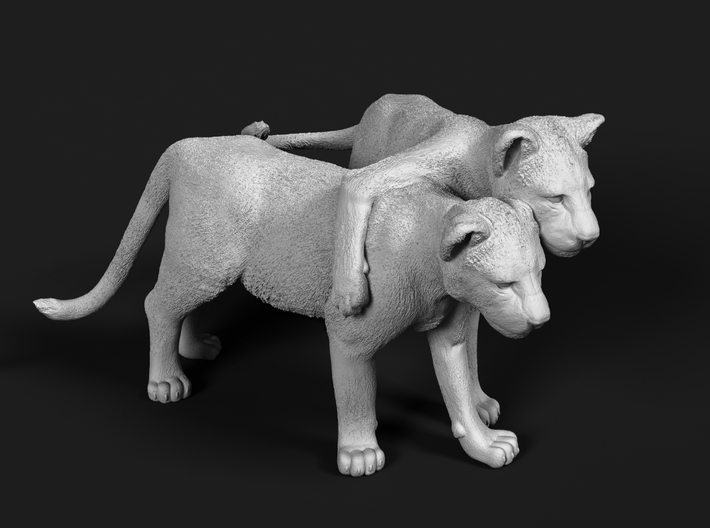 Lion 1:20 Cubs distracted while playing 3d printed 