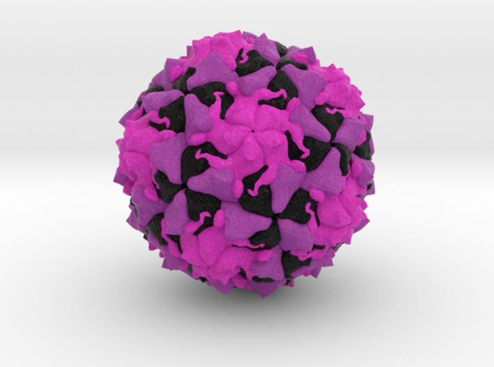 Polio Virus 3d printed