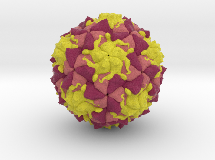 Polio Virus 3d printed