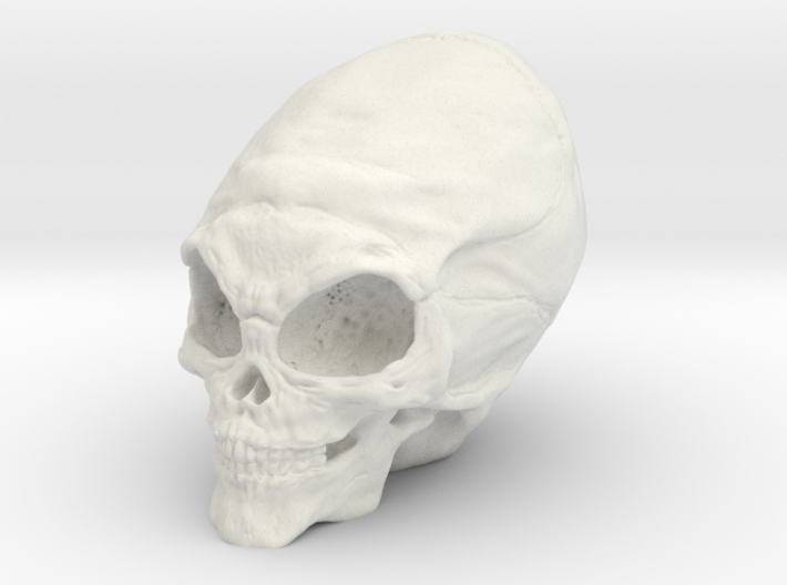 Alien Skull 3d printed