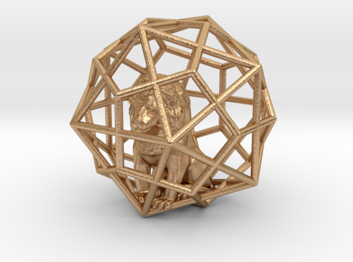 Lion inside Icosa dodeca Cage 3d printed