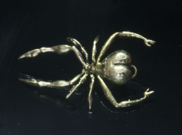 Spider Pendant - Beautiful Hunter 3d printed 