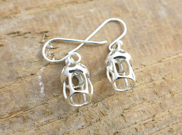 Tintinnid Dictyocysta Lepida Earrings 3d printed Tintinnid Dictyocysta lepida earrings in polished silver