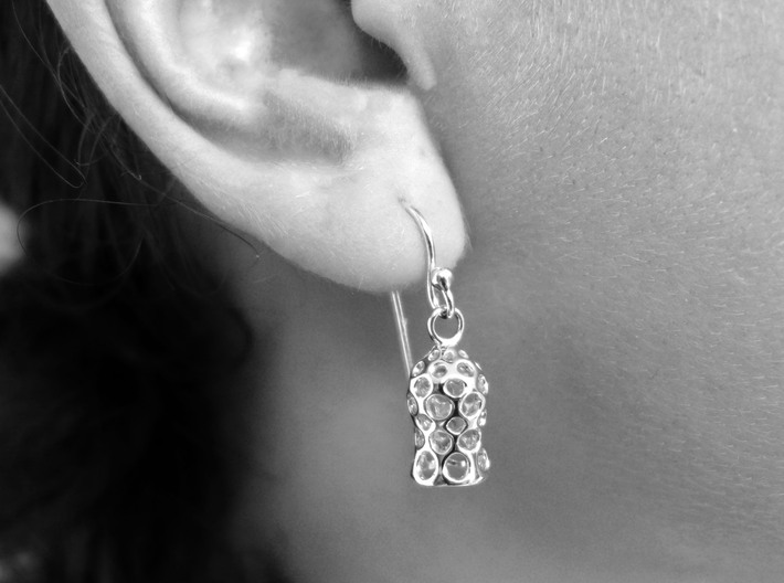 Tintinnid Dictyocysta Mitra Earrings 3d printed Dictyocysta mitra earrings in polished silver