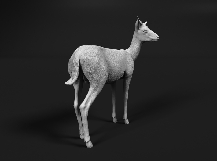 Thomson's Gazelle 1:22 Standing Female 3d printed 