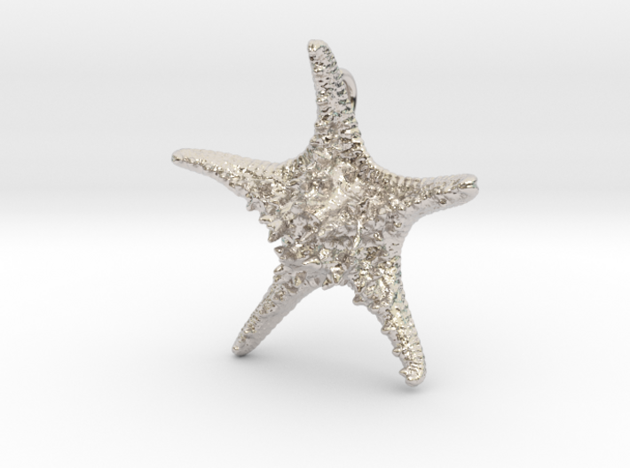 Knobby Starfish Pendant (Small, Solid) 3d printed