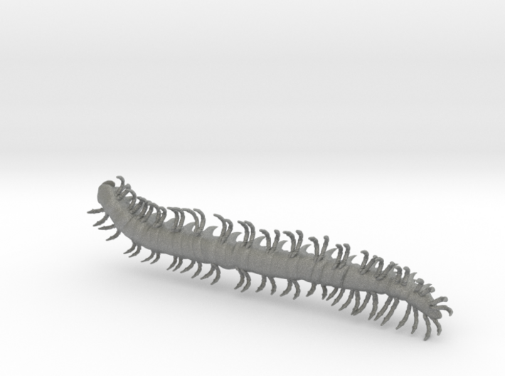 dargon millipede worm 3d printed