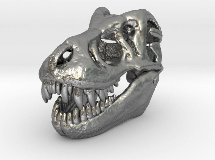 T-Rex Skull 30mm Pendant - Keychain 3d printed