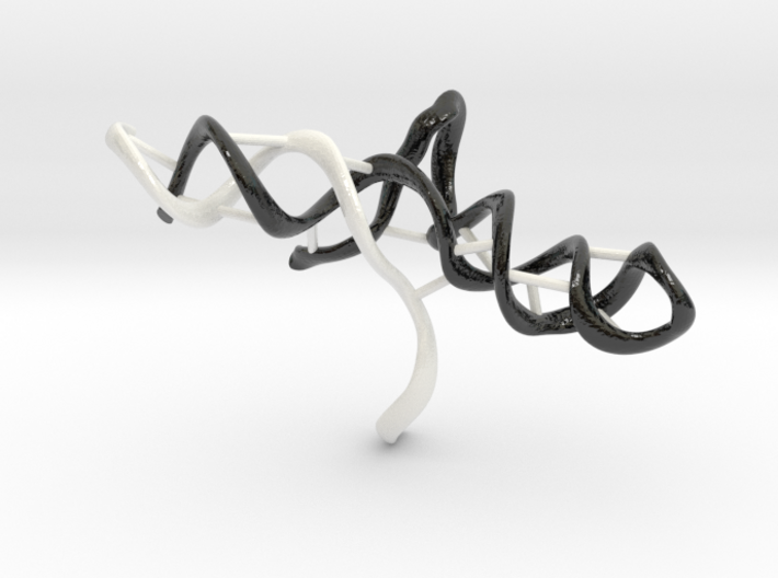 CRISPR gRNA and Target DNA 3d printed