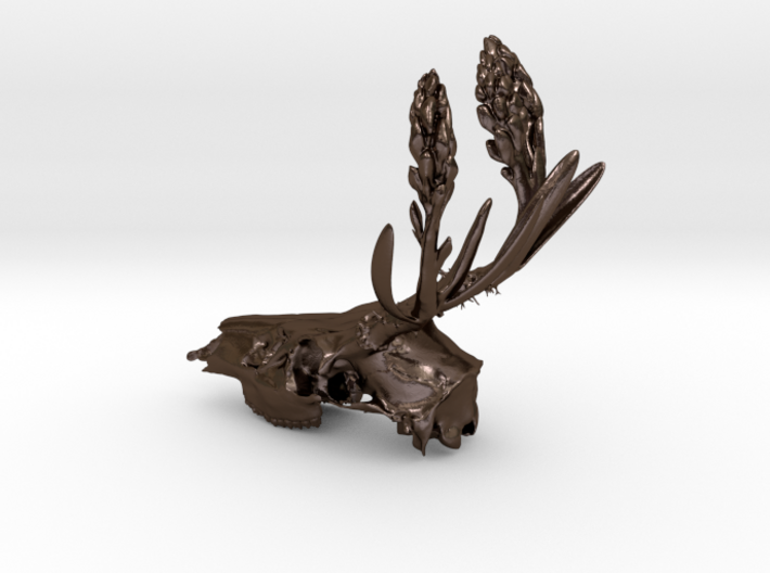 Rite of Spring- Deer Skull 3d printed