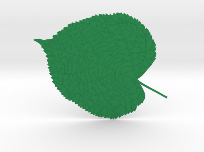 Tilia tree leaf (linden leaf) 3d printed