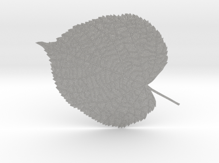 Tilia tree leaf (linden leaf) 3d printed