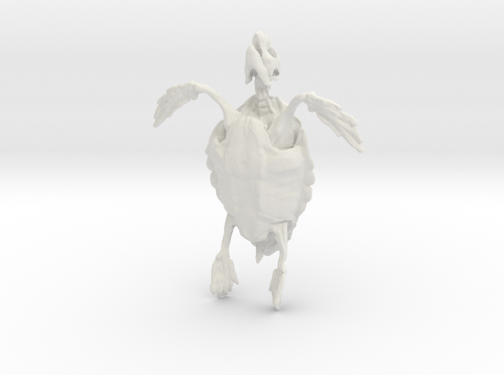 Great A Turtle Skeleton 3d printed