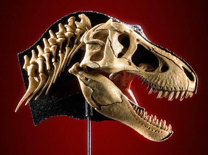 Dual Detail T. rex head (lipped version) 3d printed Product photo