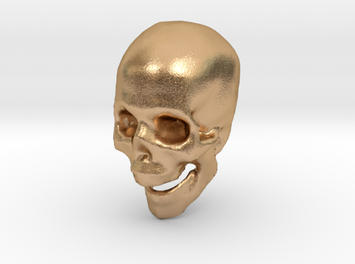 skull hollowed 3d printed