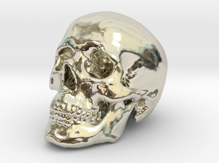 Skull Scientific 44 mm 3d printed