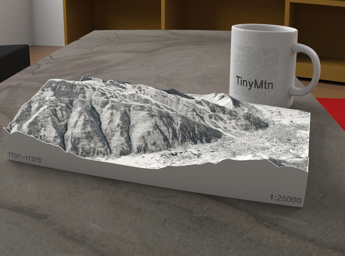 Aspen in Winter, Colorado, USA, 1:25000 3d printed