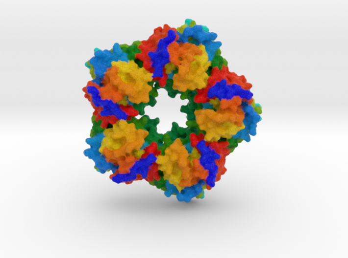 C-Reactive Protein 3d printed