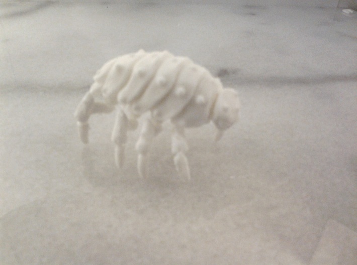 Articulated Predominant Isopod A Ball-Jointed Kit 3d printed 